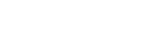 The Southern Wedding Collective
